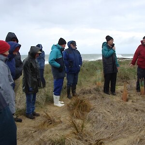 Brian Rance tells about the remnant pingao population left in the sand dune beneath the lighthouse. F and B are undertaking plantings and marram control here.
