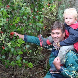 Warwick Day and son admiring the scarlet mistletoe.