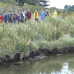 Te Wai Korari. This wetland purchased by the Riverton Estuary Care Society has been developed to encourage whitebait spawning.