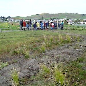 Taramea Bay. Native plantings undertaken by the Southland District Council have used appropriate native wetland species like toe toe and Carex.