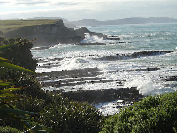 Te Rere - a wild, isolated coastal location in the Catlins.