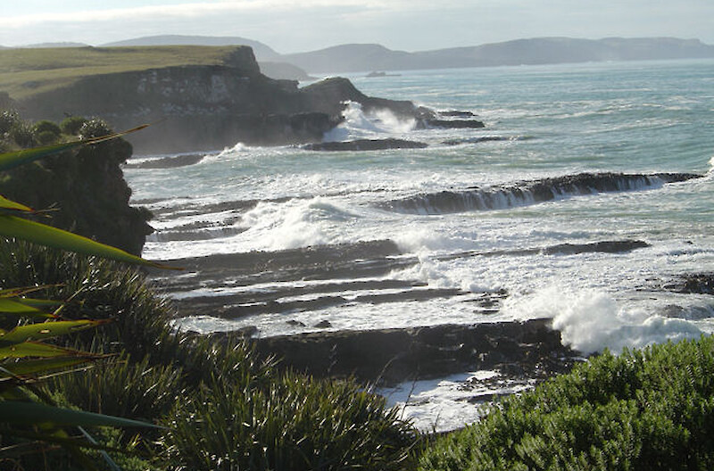 Te Rere - a wild, isolated coastal location in the Catlins.