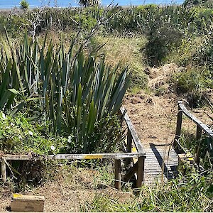 2025 February. Aparima Pestbusters now working at Te Wai Korari, opening up tracks and setting traps.