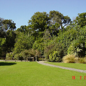 A pleasant ten minute walk takes you through the bush remnant where you can see mature pokaka growing.