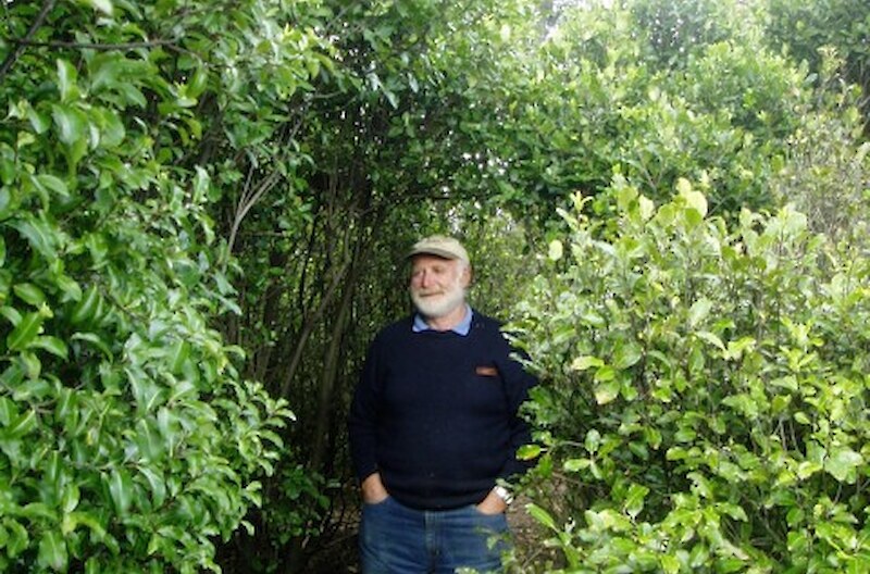 Malcolm amidst his 25 year revegetation area.