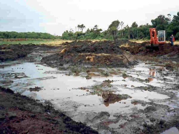 1996 Pond excavation in a grassy paddock. The beginning of restoration.