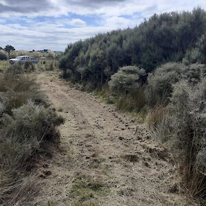 2022 Funding assistance from Whakamana te Waituna, via the Fonterra/DOC Living Waters project, has helped pay for the erection of a fence around 2.5ha of manuka regrowth to the north of the QEII covenant area.