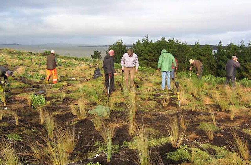 Combined Rotary Clubs involvement in planting thousands of native plants over the closed landfill site. (2007).