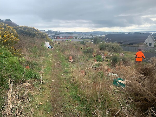 The planting of natives in this area will help suppress gorse regrowth.