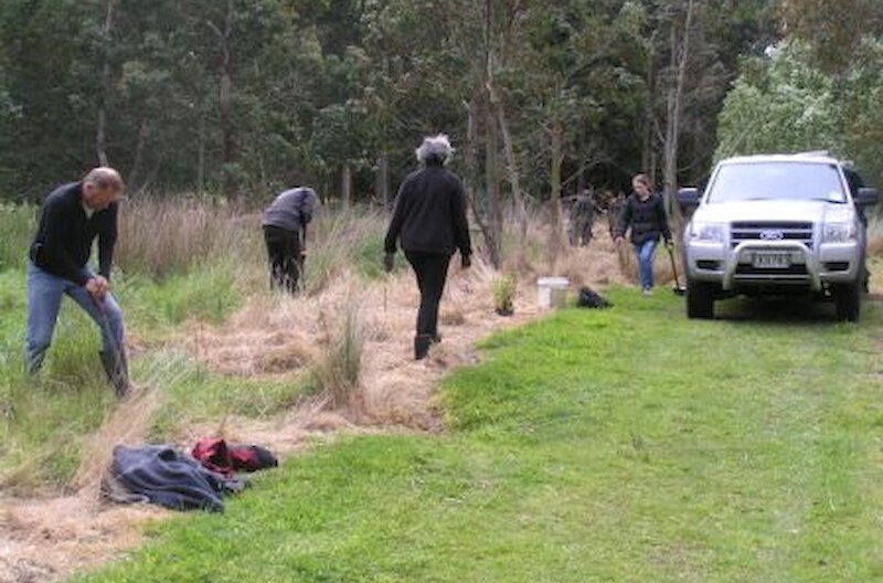 Planting at Gore 14.11.09.