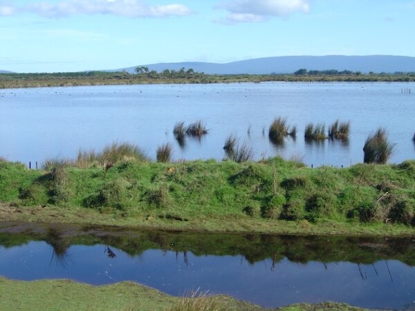Big Lagoon March 2008.