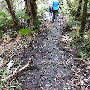 Omaui Tracks Trust have built a new track through the DOC Omaui Scenic Reserve