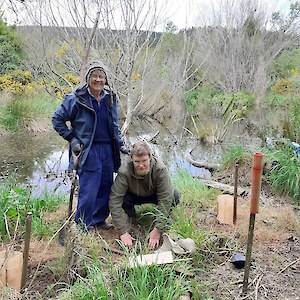 Ann Irving, left, leads the working bees. Note dead willows behind, poisoned last year. October 2021