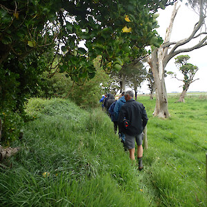 Stop 2. Exploring O'Neills Bush.