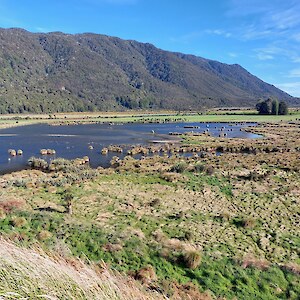 View of one restoring wetland open water area