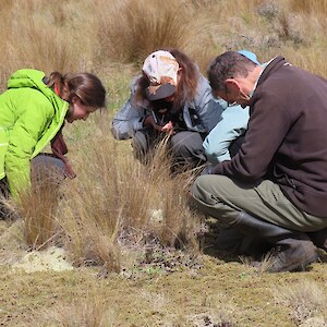 Homage to the tiny ones