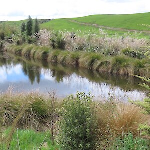 The pond at the bottom of the gully