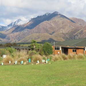 Wonderfully overnight spot at Te Koawa Turoa o Takitimu (bookings for the lodge can be made directly with Te Waiau Mahika Kai Trust and you can make booking enquiries via their website). Some of the matariki plantings for one whetu seen in the photo.