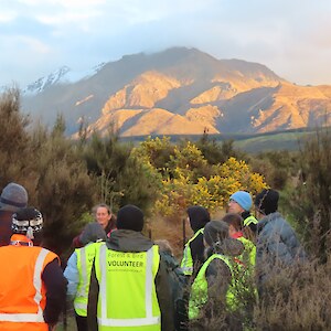 A beautiful evening for bats and people