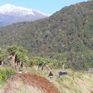 Sunday morning - A quick visit to Rakatu wetlands on the way to Manapouri