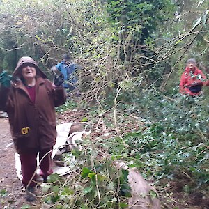 With the help of two SERN visitors, the FoTB removed another 5 fadges of ivy.