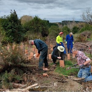 2026 April. A start made on getting native plants back in where the willows have been cleared.