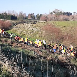 2026 May. Menzies College students help plant native wetland plants in a restoration project at the entrance to Wyndham.