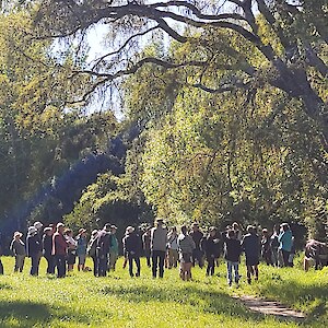 2023 - Visit to Cowie's, East Limehills to see restoration on the meandering Otapiri Stream.