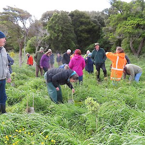 2024 - checking out restoration plantings at ES's O'Neills Block, Titiroa, next to the Southern Scenic Route.